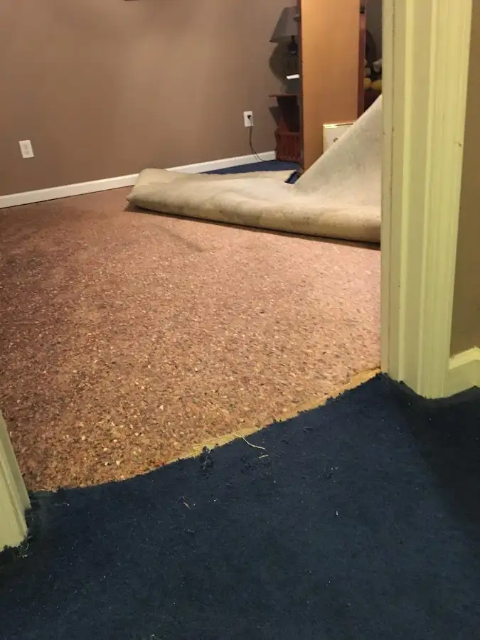 Carpet pad removal revealing water damage during Drying & Dehumidification in River Ridge