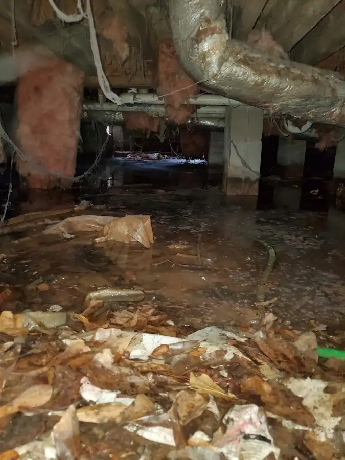 Crawl space flood assessment for Commercial Water Damage Restoration in River Ridge