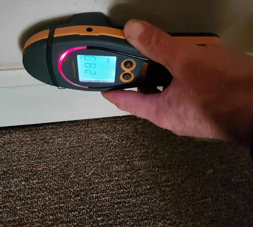 Moisture detection at baseboard during Mold Inspection & Testing in River Ridge